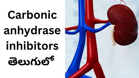 Carbonic Anhydrase Inhibitors Mechanism Of Action Youtube