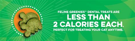 Feline Greenies Natural Dental Care Cat Treats Catnip