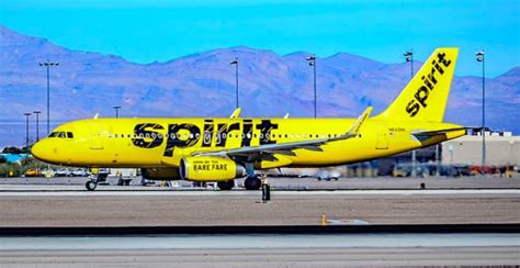 Watch Video Captures Woman Tased During Brawl On Spirit Airlines