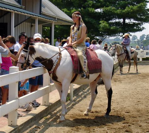 Horse Breeds at the Kentucky Horse Park, Lexington, Kentucky - Travel ...