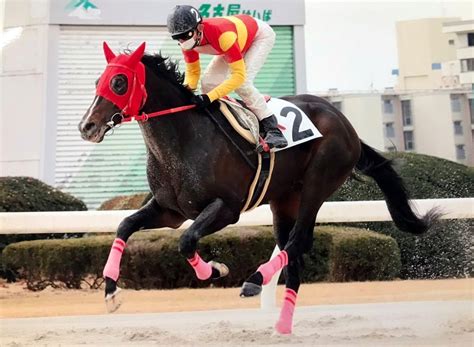 【一口馬主日記】tcライオン特別編！ カズキ一口馬主