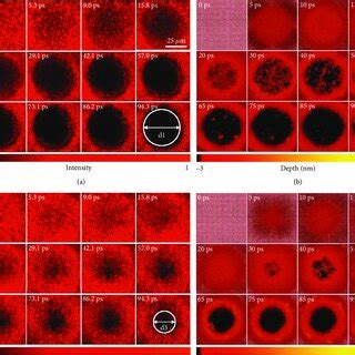 Experimental And Theoretical Simulation Results Representative