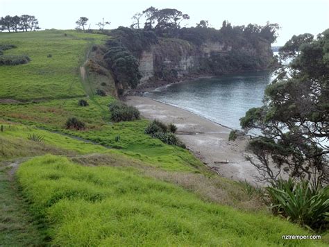 Long Bay Regional Park Coastal Walk – Tramping & Trail Running in New ...