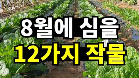 8월에 심는 작물 12가지 텃밭작물 소개해요 페어리가든 정원 인테리어 채소 재배