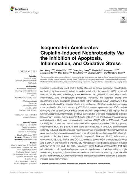 Pdf Isoquercitrin Ameliorates Cisplatin Induced Nephrotoxicity Via