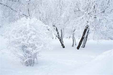 Сугробы – The Village