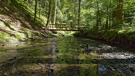 Wanderung von Vordersteinenberg zum Leinhäusle Schwäbischer Albverein