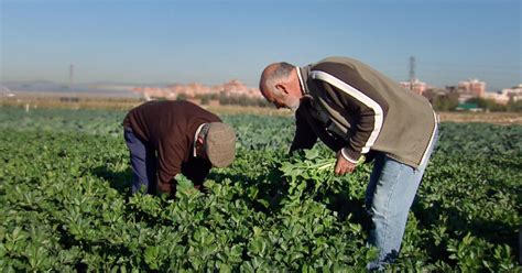 El Gobierno Publica La Rebaja Del Del Irpf Para Agricultores Y