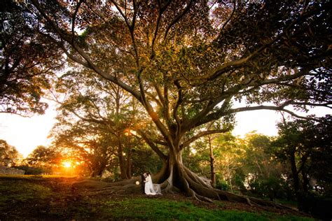 Blue Mountains Wedding Photography Peter Karp Photography