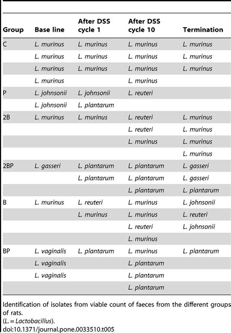 Identification to species level of faecal lactobacilli. | Download Table