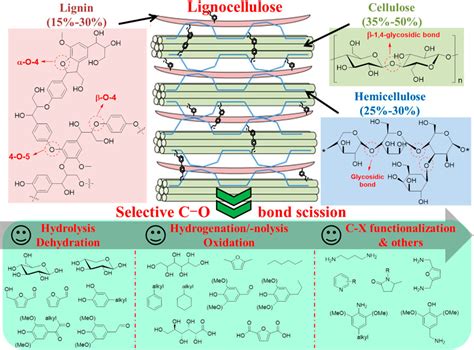 Frontiers Selectivity Control Of C O Bond Cleavage For Catalytic