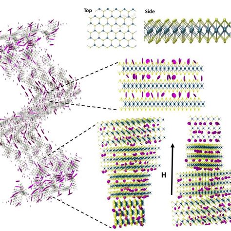 Schematics Representations Of Liquid Crystalline Dispersions Of Download Scientific Diagram