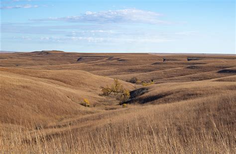 Prairie • Grasslands