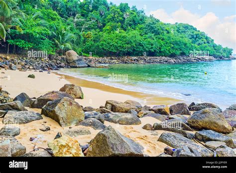 Jungle Beach Sri Lanka Hi Res Stock Photography And Images Alamy