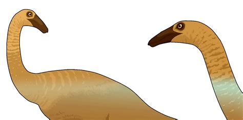 Two Creataceous Ornithomimus By Tgosurvivor On Deviantart