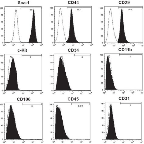 Immunophenotypes Of Ex Vivo Expanded Mscs Expanded Mscs Are Download Scientific Diagram