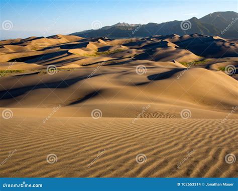 Dunes in Great Sand Dunes National Park at Sunrise Stock Photo - Image ...