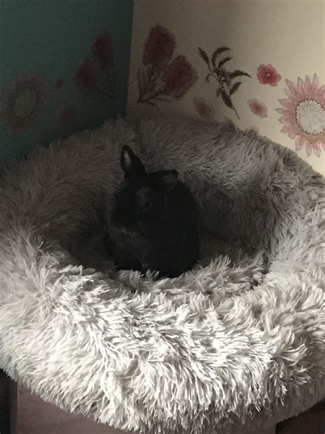 The gordon garrett funeral home chapel just finished renovations 10