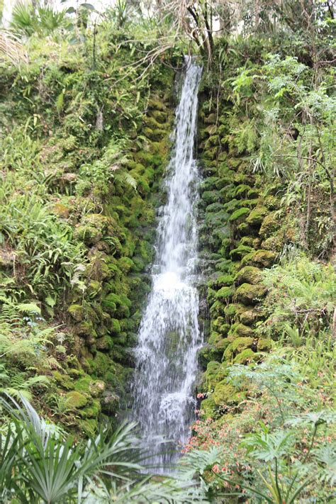 185 lost florida tourist attractions fun while they lasted – Artofit