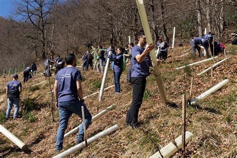 La Fundaci N Edp Refuerza Su Compromiso Con El Medio Ambiente