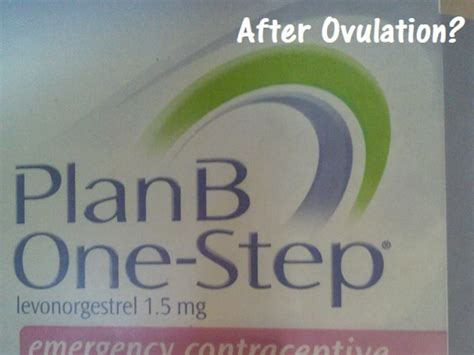 Does Plan B Work During Ovulation Vita News City