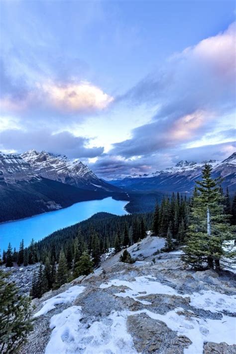 Peyto Lake Sunrise Vertical - Alberta Nature | Jardene Photography