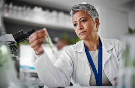 Botany Test Tube And Senior Female Scientist Doing Research