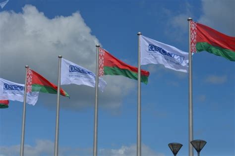 Флаг Республики Беларусь, флажная сетка: купить в Минске в интернет ...