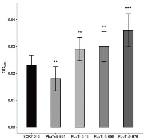 Ijms Free Full Text Genome Wide Analyses Of The Temperature Responsive Genetic Loci Of The