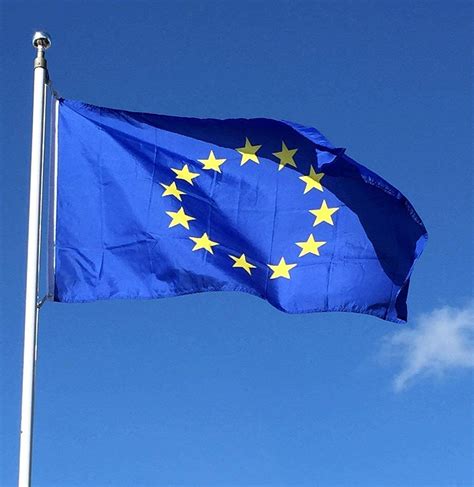 Flag 5ft X 3ft European Union Amazon Co Uk Garden