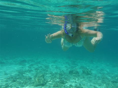 Bravissimo Bikini Bravissimo Bikinis Summer