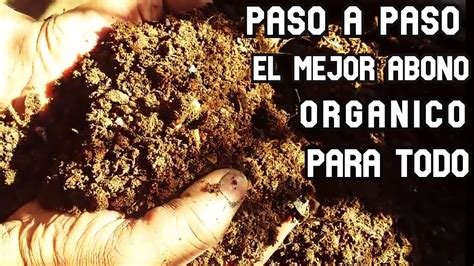 Paso A Paso Mi Secreto Para Elaborar El Mejor Abono Organico Facil Y