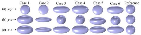 Representative cases of osteocyte shapes. The projected osteocyte ...