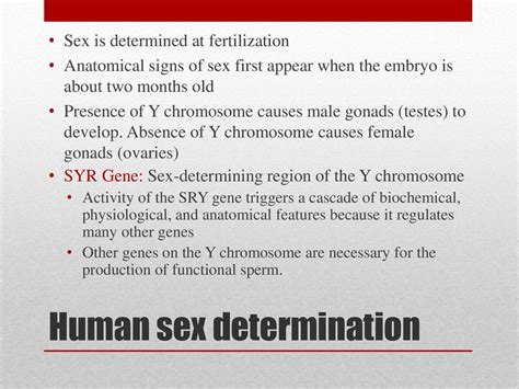 Chromosomal Basis Of Inheritance Ppt Download