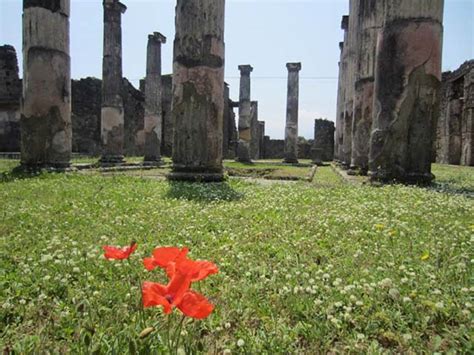 VII 4 31 51 Pompeii May2012 Detail Of Columns In Middle Peristyle