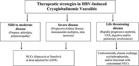 Treatment Of Hepatitis B Virus Hbv Induced Cryoglobulinemia Download Scientific Diagram