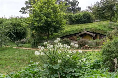 Fotos De Hobbiton Set Cinematografico Imagens De Hobbiton Set