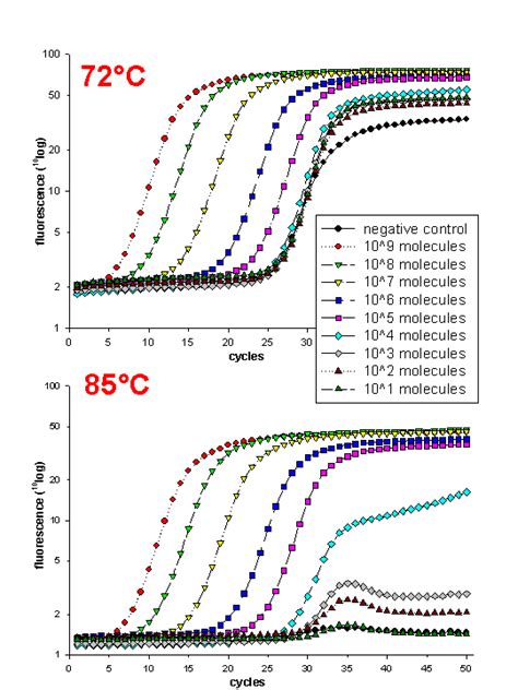 Gene Quantification Info