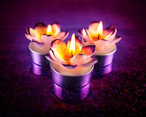 Burning flower candles stock photo. Image of blooms, lighted - 57325736