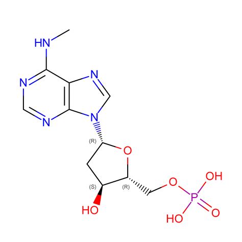 Rcsb Pdb 6qvo Crystal Structure Of Human Mth1 In Complex With N6