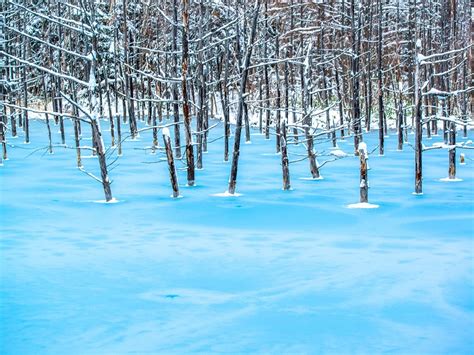 blue-pond-hokkaido-japan - Lets Travel More