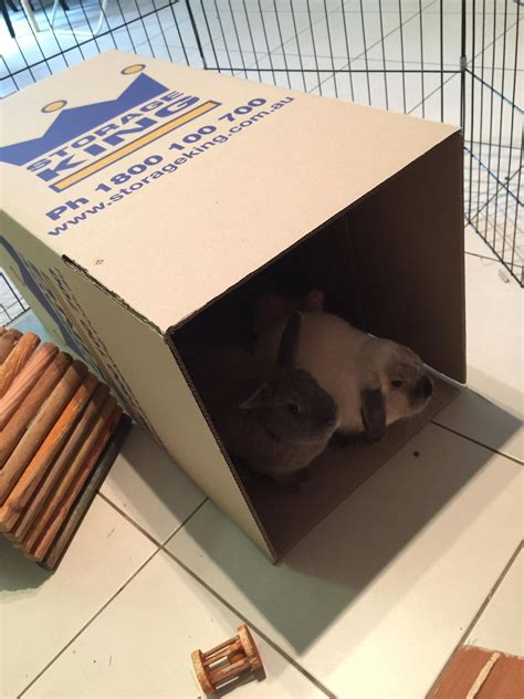 Iga southport price hikes are hitting local families very hard 21