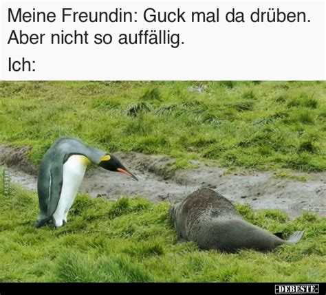 Meine Freundin Guck Mal Da Dr Ben Aber Nicht So Auff Llig Ich