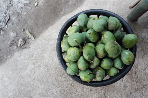 4 most common kinds of Philippine mangoes