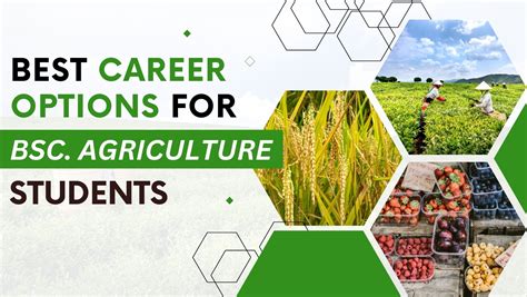 Best Career Options For BSc Agriculture Students