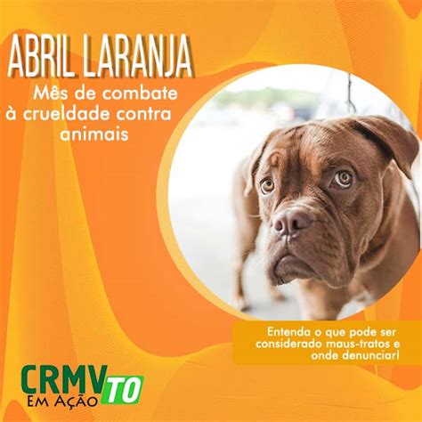 CRMV TO reforça combate à crueldade contra animais no Abril Laranja