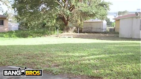 Bangbus Monica Search Xvideos