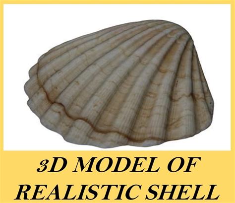 model realistic shell