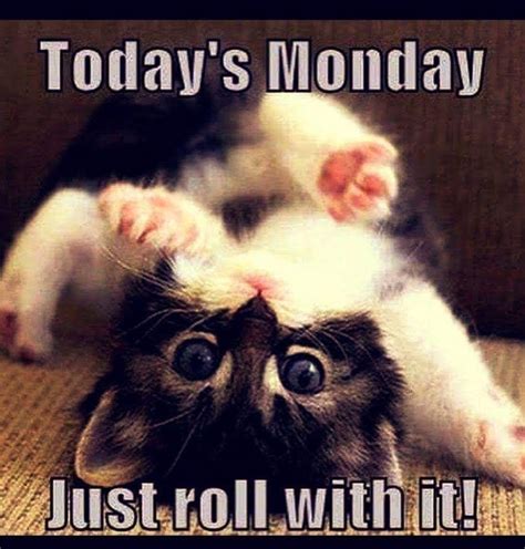 Monday Blessings In 2020 Monday Cat Funny Monday Memes Funny