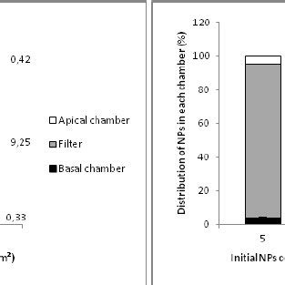 50 nm SiO 2 NP translocation study across 3 μm polycarbonate Transwell